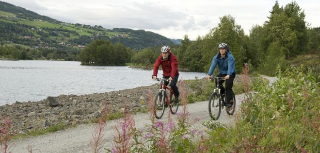 Idyllisk langs Strandafjorden. Foto Bård Svardal 