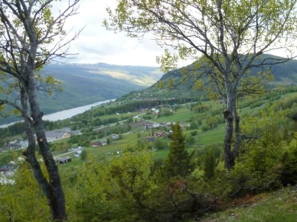 View from the hike to Hellingst&oslash;len. Photo T. Torgersen